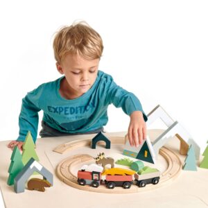 TL8701 treetops train set 3