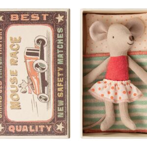 Little sister mouse in box